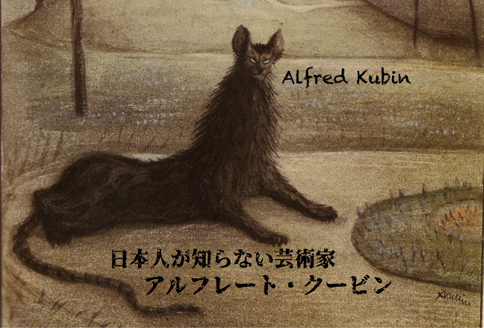 洋書 未使用 Alfred Kubin Drawings, 1897-1910 ハードカバー 